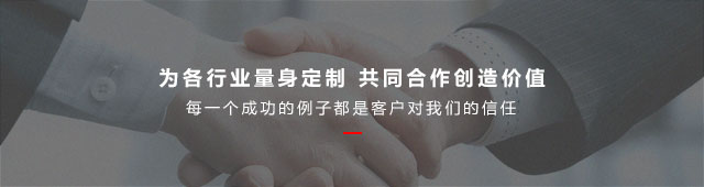 成功案例